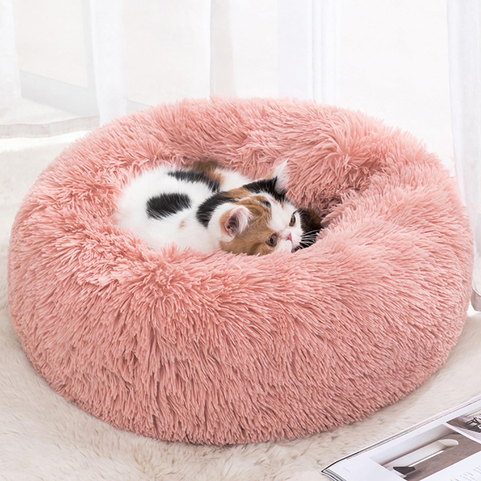 YOUSHY Собака и кошка питомец круглый пушистый собака все собаки кошки холодный питомец собака питомец для кошек и мелких домашних животных размеры цвета доступны кровать, кровать, кровать, год, подушка,